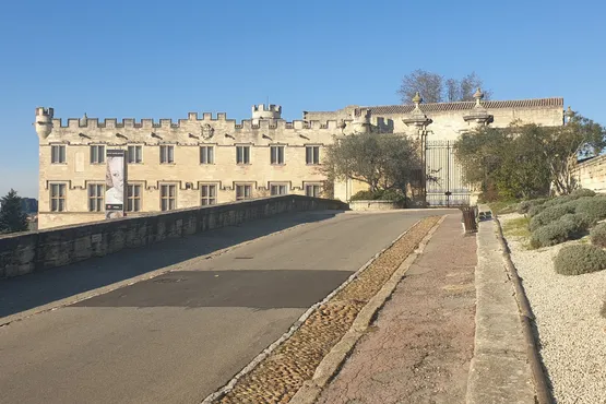 guide touristique avignon avec chauffeur vtc disponible pour decouverte